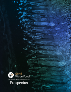 Deconvolved fluorescence composite of central retinal cells at 40x magnification.